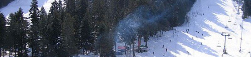 Боровец 
