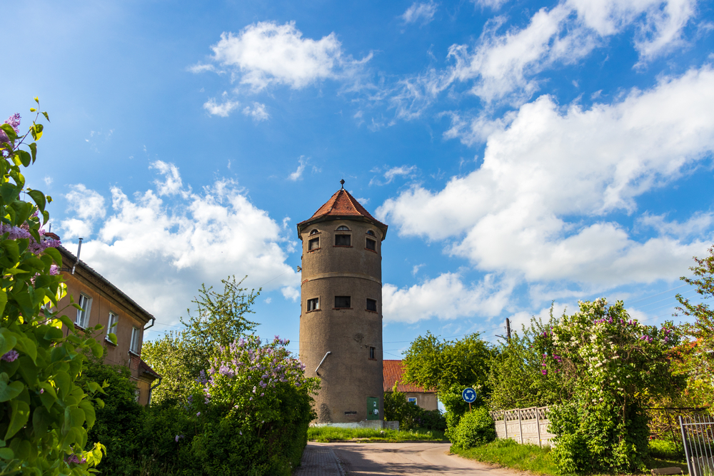 slide image