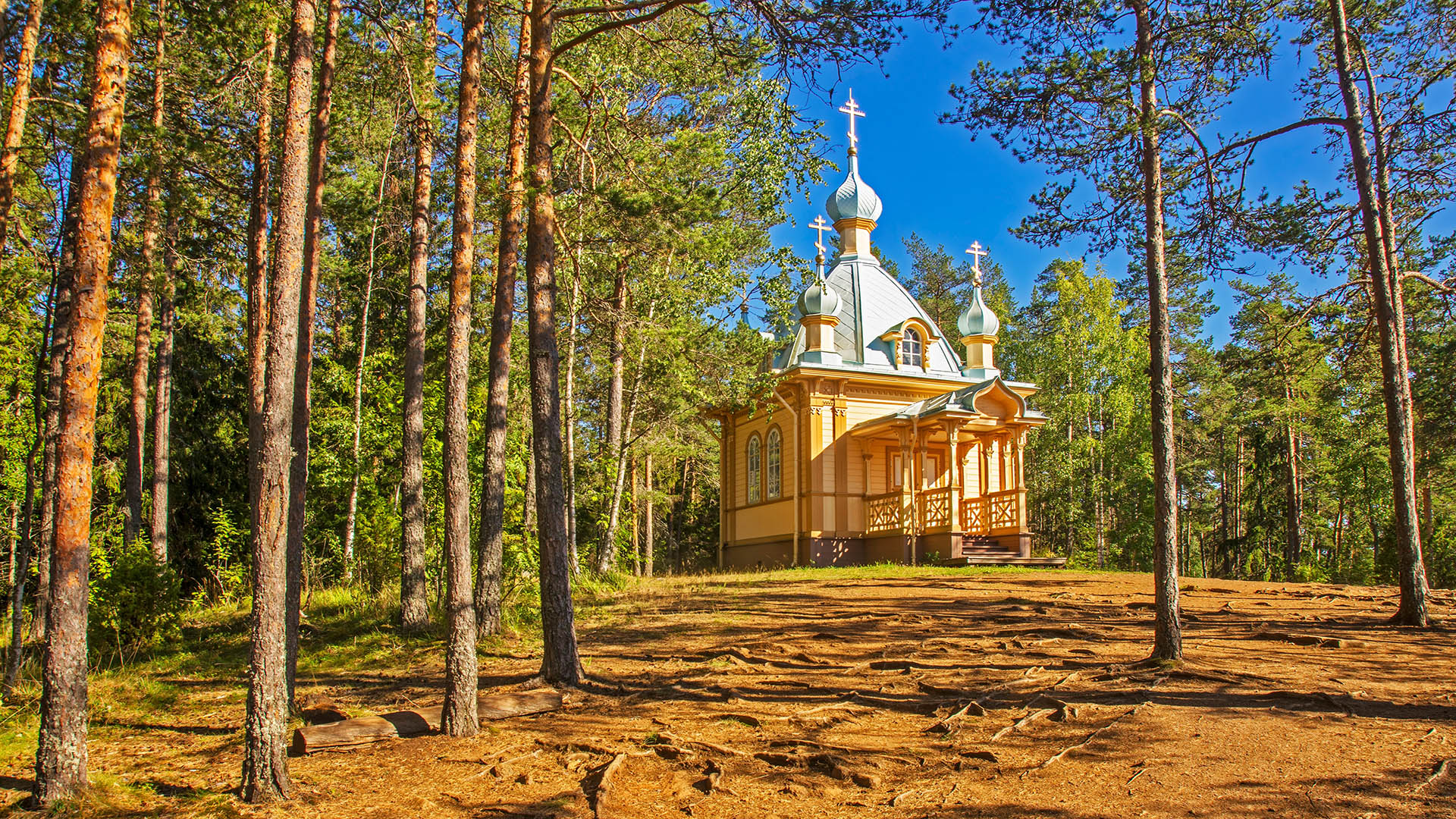 slide image